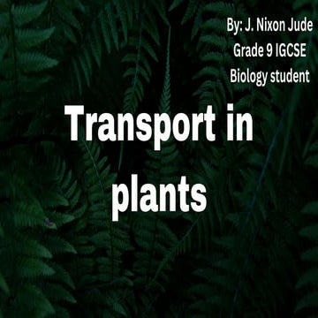 Transport in plants IGCSE Biology Chapter 8 .pdf