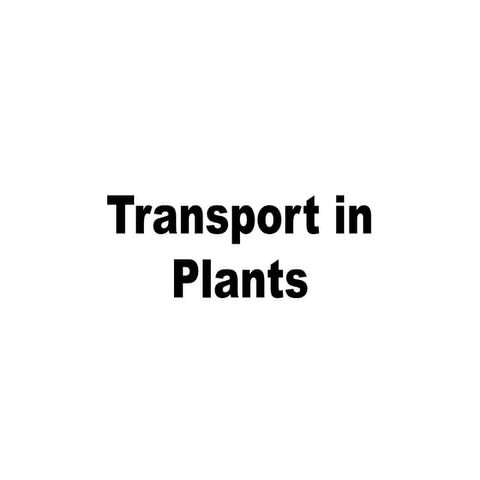 Transport in Plants-Vascular System-Xylem and Phloem