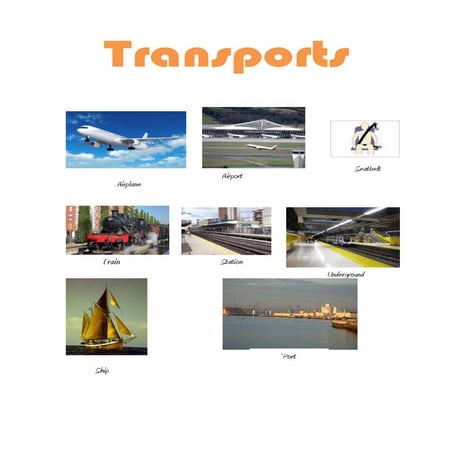 Transport