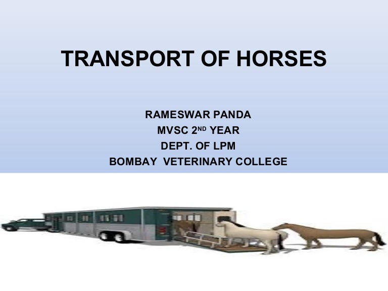 Transport of horses1