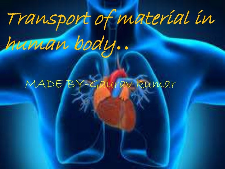 Transport of material in human being