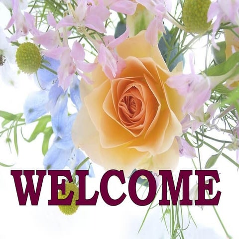 Transport of newborn