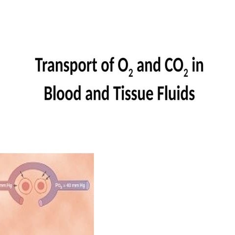 TRANSPORT OF CARBON DIOXIDE | PPT