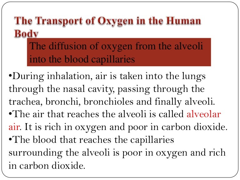 Transport of oxygen