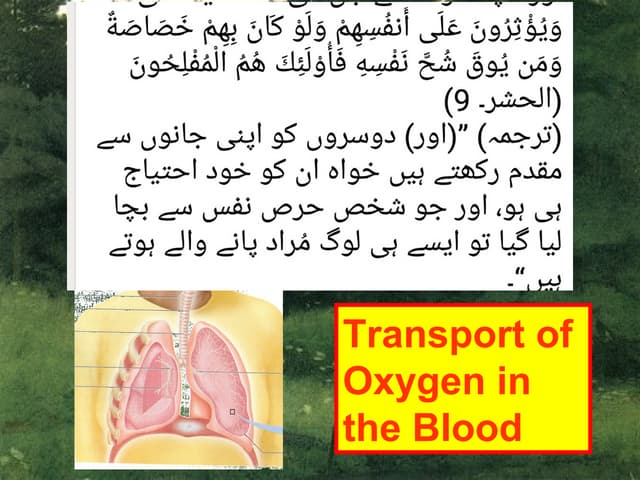 Transport of oxygen and carbon dioxide in blood | PPTX