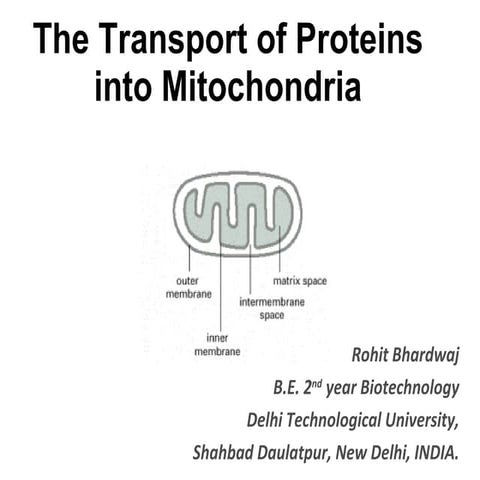 Transport Of Proteins