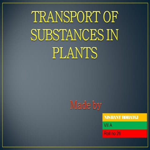 Transport of substances in plants