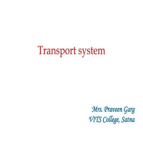 Transport system