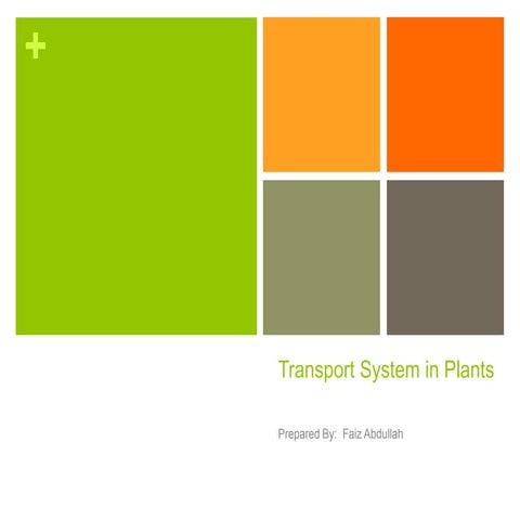 Transport system in plants