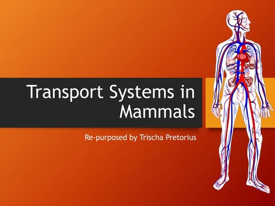 grade 10 Transport System in mammals.pptx