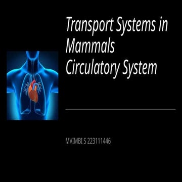 Understanding the Circulatory System……..