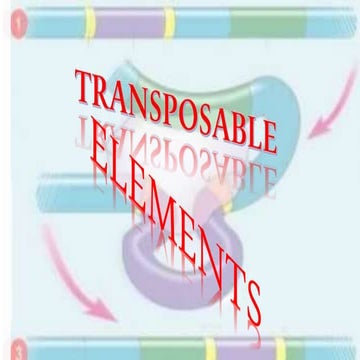 Transposable Elements