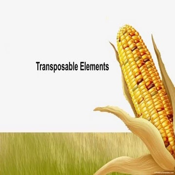Transposable Elements or Jumping Genes.pptx