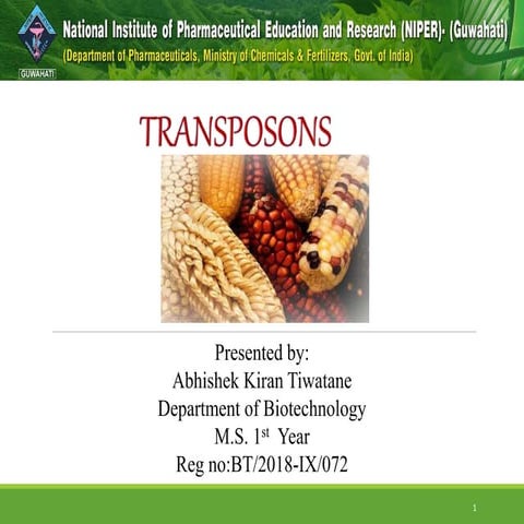 Transposons 