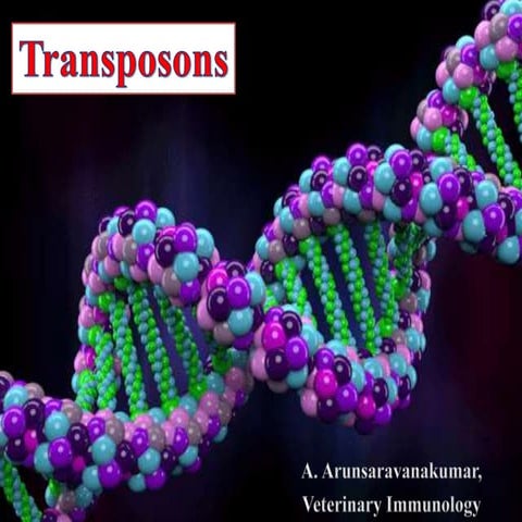 Transposons ask