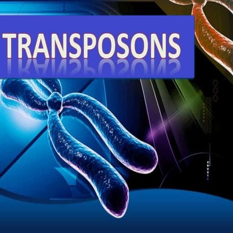 Transposons ppt
