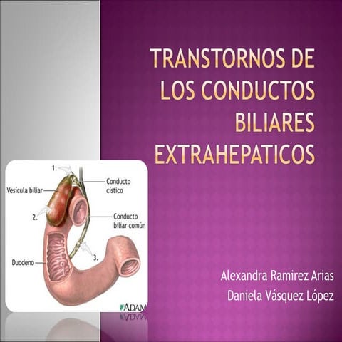 Transtornos De Los Conductos Biliares Extrahepaticos1