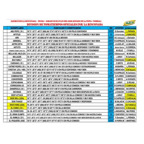 Traqueos La Rinconada del sábado 120725.pdf