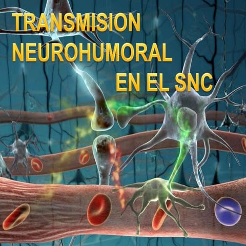 Trasnmision neurohumoral en el snc