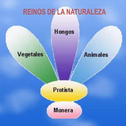 LOS REINOS DE LA NATURALEZA | PPTX