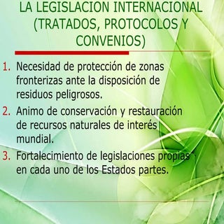 TRATADOS INTERNACIONALES DEL MEDIO ...