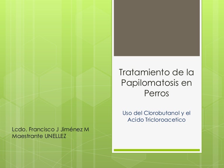 tratamiento para papilomatosis en perros condiloame uriașe bushke levenshtein