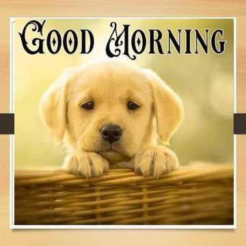 trauma from Occlusion topic in periodontics