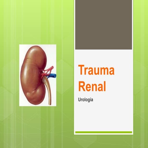 Trauma renal