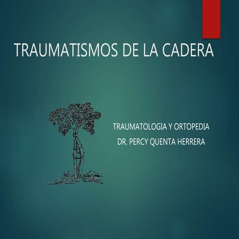 Traumatismos de cadera