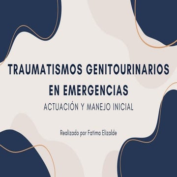 Traumatismos Genitourinarios en Emergencias_20250824_214601_0000_compressed.pdf