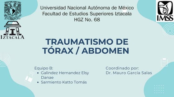 Aparato respiratorio en Perros y Gatos | PDF
