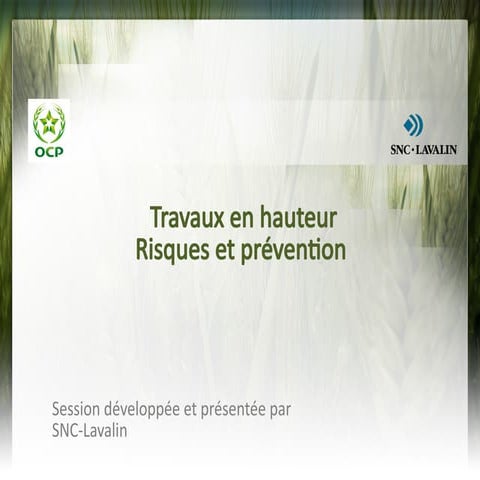 Travaux en hauteur08-20-2014 Travaux en hauteur08-20-201.pptx