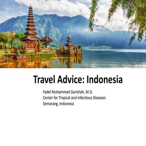 Travel Health Advice to Indonesia