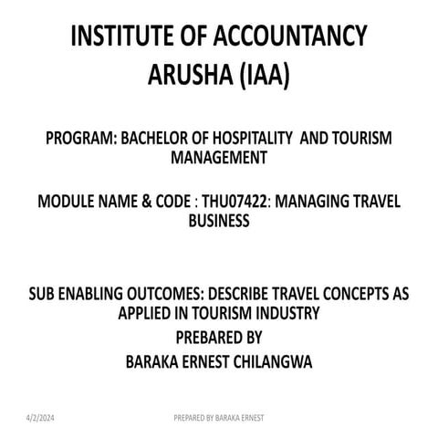 TRAVEL BUSINESS 1.pptxyyyyyyyyyyyyyyyyyy