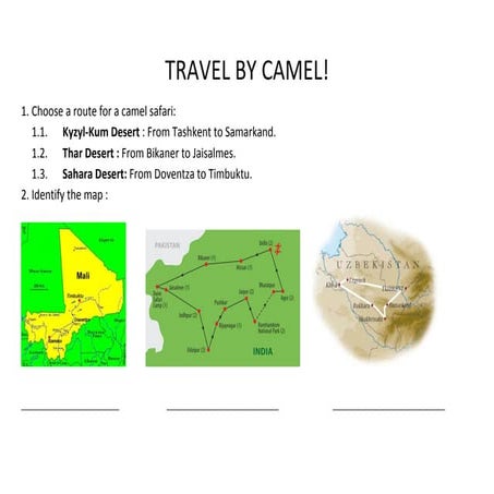 Travel by camel