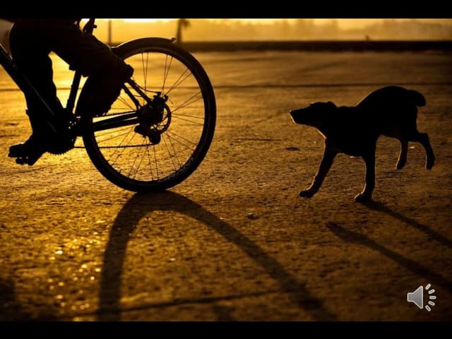 Travelling the World II- Photograph...