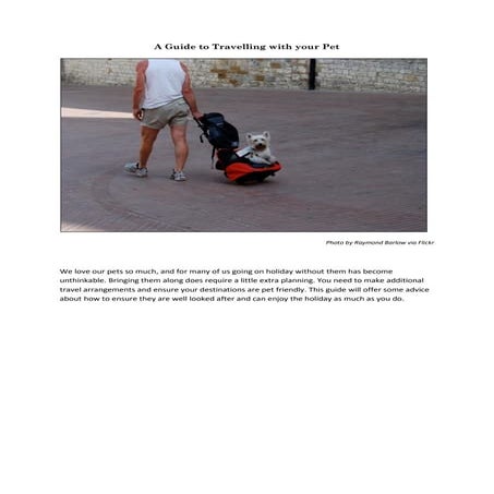 A Guide to Travelling with your Pet