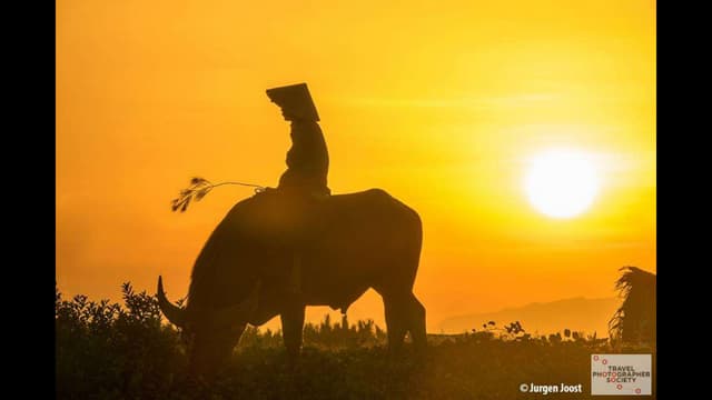 Travel Photographer Society 2017: F...