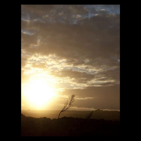 Travel photo report 2010