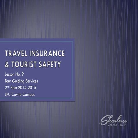Travel Safety and Security