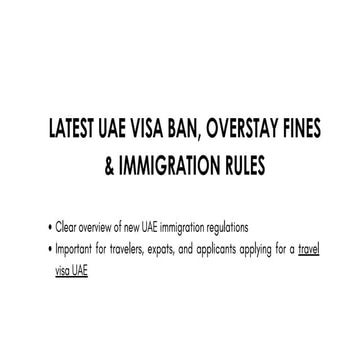 How to Successfully Apply for a Travel Visa UAE Online | PDF