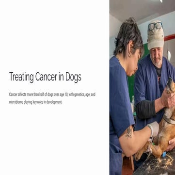 Dr. Gerald Buchoff - Treating Cancer in Dogs