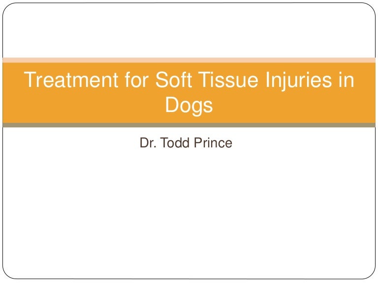 Treatment for Soft Tissue Injuries in Dogs