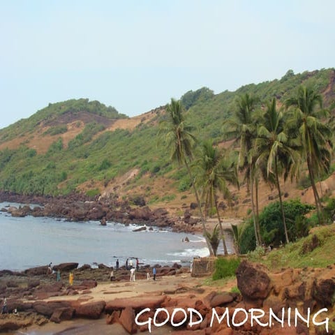 Treatment planning of implants in posterior quadrants.pptx