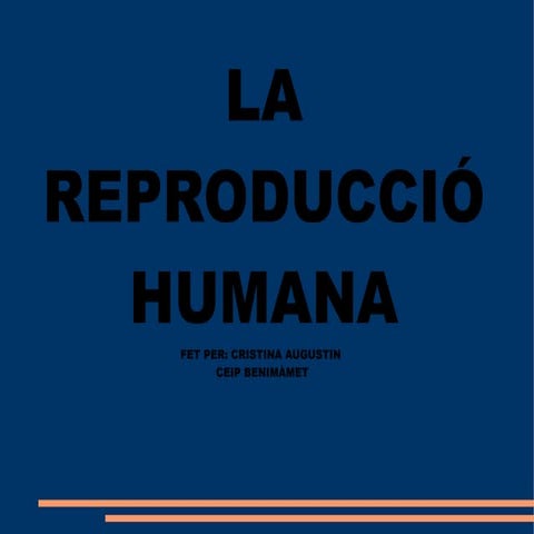 Treball cristina la reproducció
