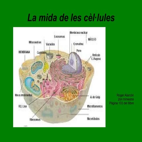 Treball de biologia jejejej alarcon