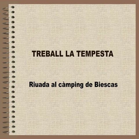 Treball la tempesta 1