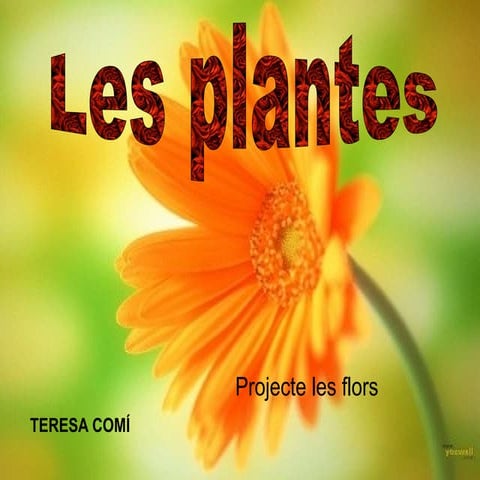  Les plantes