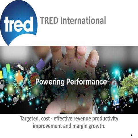 TRED International - Revenue Performance Improvement