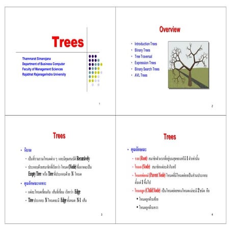 Tree | PPT